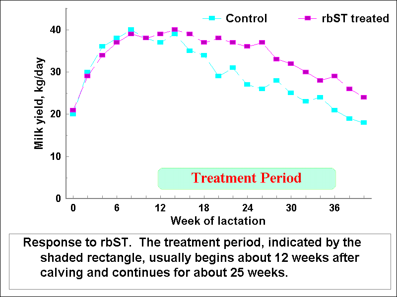 r-BST Effect on Lactation